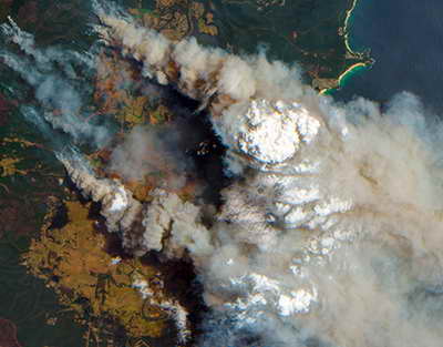 Валютный рынок, Daily history за 5 июня 2025 г.